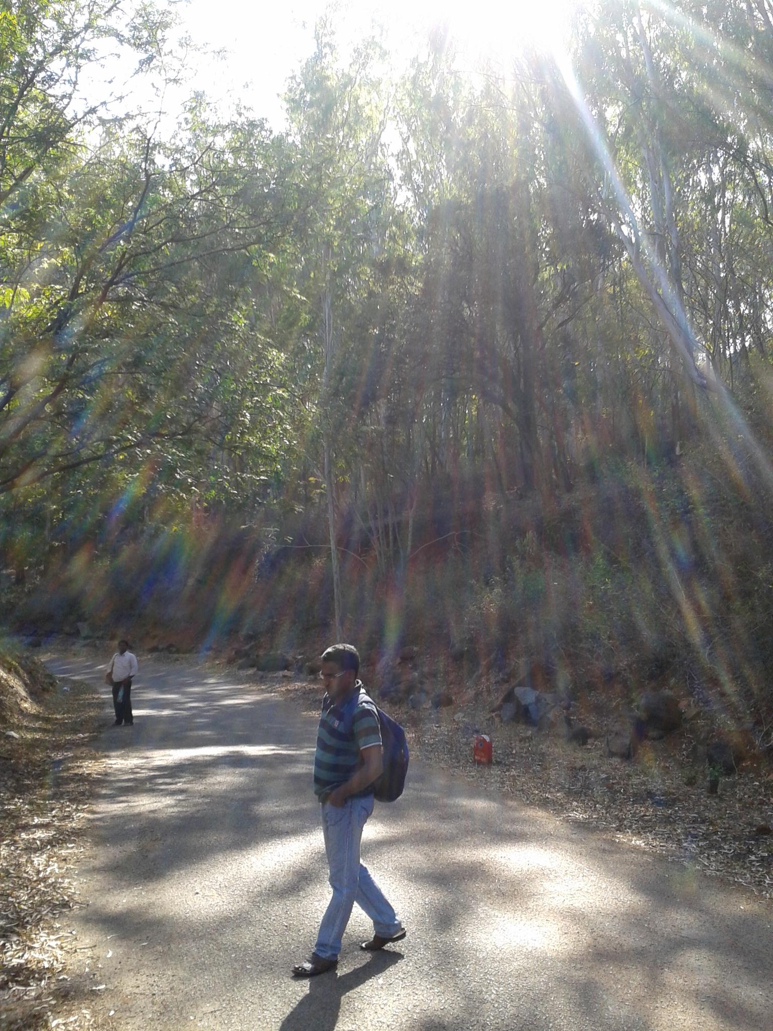 Horsley Hills Nature Walk